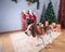 Beagle rest on carpet near to fireplace in empty room with Christmas decorations