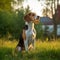 Beagle sitting on the green meadow in summer. Beagle dog sitting on the grass with a summer landscape in the background. AI