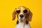 Beagle wearing glasses. Generate Ai