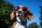 a beagle wearing sports sunglasses with a frisbee at a park