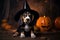 A beagle in a witchs hat with Jack O' Lanterns, Halloween Holiday background.