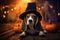 A beagle in a witchs hat with Jack O' Lanterns, Halloween Holiday background.