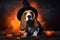 A beagle in a witchs hat with Jack O' Lanterns, Halloween Holiday background.