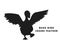 Beak bird crane feather isolated vector Silhouettes