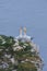 Beak fencing pair of Northern Gannets