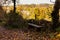 Beanch with dead leaves in autumn