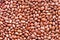 Beans of bean  beans .  Background of many grains of dried beans. Brown beans texture. Food background. Close up