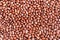 Beans of bean  beans .  Background of many grains of dried beans. Brown beans texture. Food background. Close up