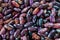 Beans of dark purple color with stripes of sorts Railroad, Selugia, Idaho Refuge.