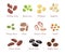 Beans and legumes set. Vector illustration of different beans