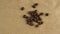 Beans of natural coffee on coarse paper
