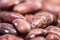 Beans on white background. Red kidney beans isolated on white background.