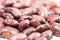 Beans on white background. Red kidney beans isolated on white background.