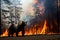 Bear on background of forest fire. Poor brown bear in dangerous natural disaster. Concept take care of nature