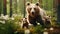 She-bear and bear cubs in the summer forest on the bog among white flowers.