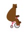 Bear on bicycle cartoon. Beast rides bicycle vector illustration