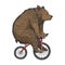 Bear on bicycle sketch engraving style vector