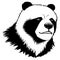 Bear. Black and white graphics. Logo design for use in graphics.