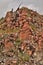 Bear Butte is a State Park in Rural Western South Dakota