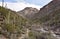 Bear Canyon Trail in Coronado National Forest