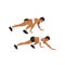 Bear Crawl Exercise introduction step with healthy woman