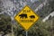 Bear Crossing Highway Sign with National Forest Background