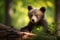 Bear cub in nature on summer forest background. Closeup animal portrait. Ai generated