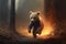 The Bear Cub Runs Out Of The Burning Forest. Generative AI