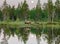 She-bear with cubs walks along the edge of a forest lake with a stunning reflection with the moon in the background.