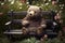 bear doll, sitting on bench in park surrounded by blooming flowers