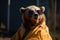 a bear dressed in eco clothes resting on vacation