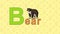 Bear. English ZOO Alphabet - letter B