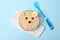 Bear face made of porridge and fruits on background, top view. Baby food