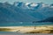 Bear family on sandy beach in Haines, Alaska