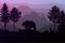 The bear in the forest Natural jungle green mountains horizon trees Landscape wallpaper Sunrise and sunset  Illustration vector