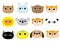 Bear Fox Owl Rabbit Dog Parrot Hamster Cat Lion Koala Panda Tiger round face icon set. Cute cartoon kawaii funny baby character.