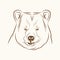 Bear free spirit sketch image