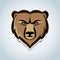 Bear head mascot illustration. Isolated illustration.