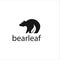 Bear leaf leaves natural nature logo vector design abstract. vector illustration logo
