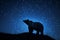 Bear leaps in the vast starry sky, with dynamic composition, starry background, AI Generative