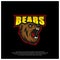 Bear Logo design vector. Modern professional grizzly bear logo for a sport team