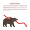 Bear market. Bear and red arrow. The chart and the indicator show a downward trend. Stock market vector illustration.