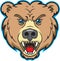 Bear Mascot Logo