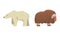 Bear and Muskox with Horns as Arctic Animal and Wild Mammal Vector Set