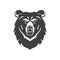 Bear muzzle portrait aggressive furry wild predator beast vintage icon design vector illustration