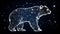 A bear in the night sky consisting of stars and bright lights.