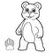 Bear with paw print Coloring Page vector