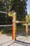 Bear-resistant electric fence and gate