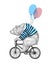 Bear Ride Bicycle Balloon Vector Illustration. Vintage Mascot Cute Grizzly Cycle Bike Isolated on White. Happy Birthday