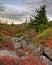 Bear Rocks Dolly Sods West Virginia